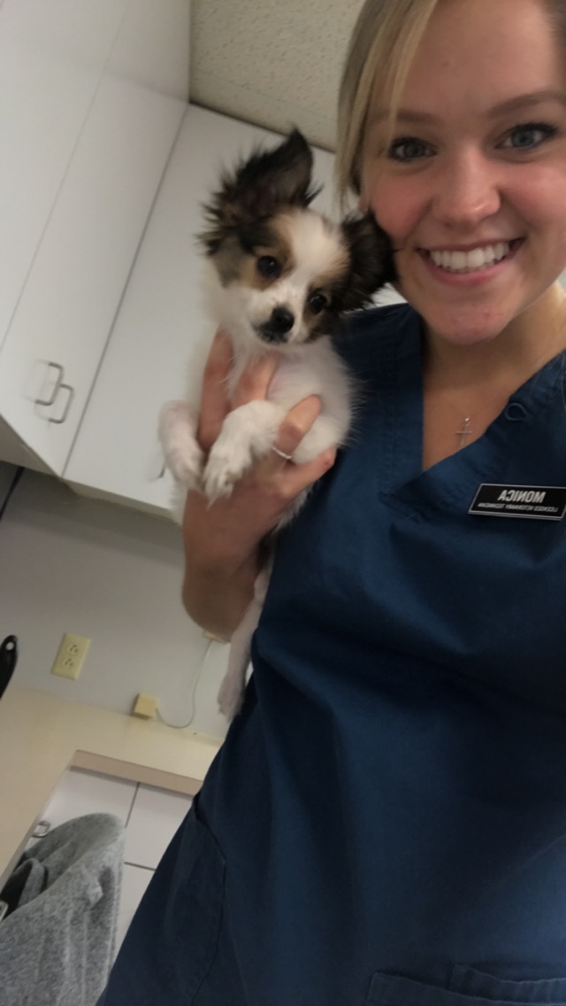 Monica, Licensed Veterinary Technician